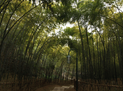 China2008 14s 15834497604 O