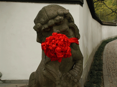 China2008 15s 15836954223 O