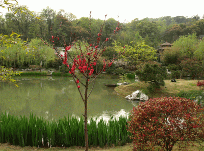 China2008 25s 16456086982 O