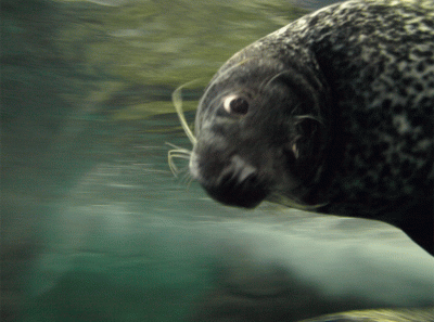 China2008 2s 15836945813 O