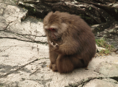 China2008 35s 16270789489 O