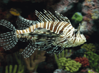 China2008 3s 15834490624 O