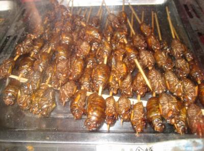 China2007 045 16579170757 O