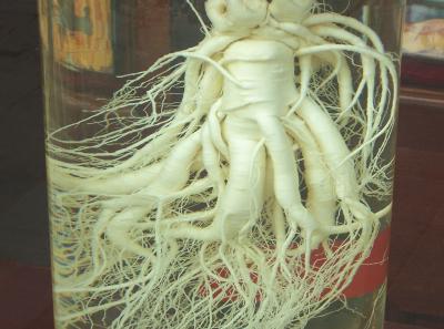 China2007 093 16786445755 O