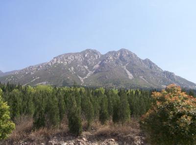 China2007 400 16599082420 O