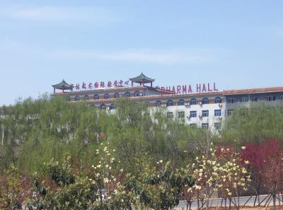 China2007 433 16599083110 O