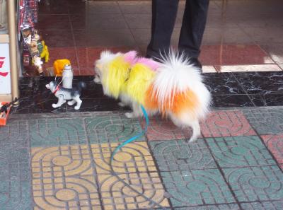 China2007 507 16760581156 O