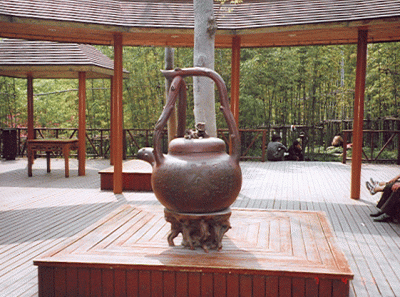 China12s 16430079256 O