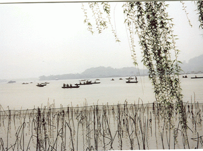 China14s 16455137962 O