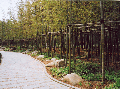 China18s 16268651760 O