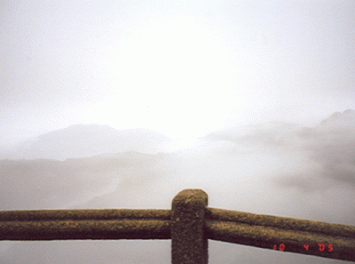 China25s 15833559124 O