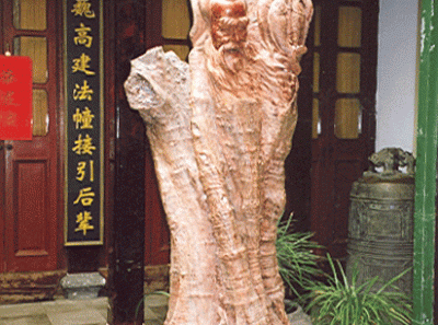 China33s 16454338971 O