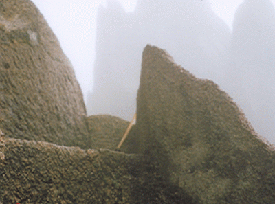 China34s 16455140782 O