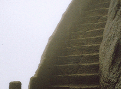 China35s 16456085205 O