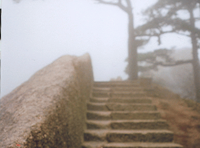 China37s 16269841229 O