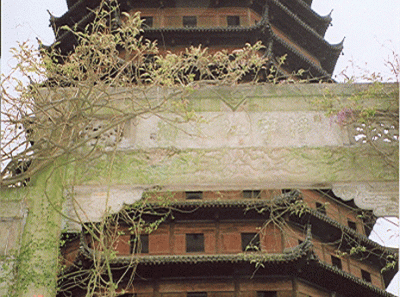 China41s 16430084416 O