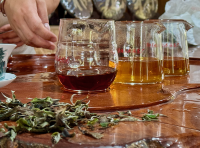 China 2026 March 135