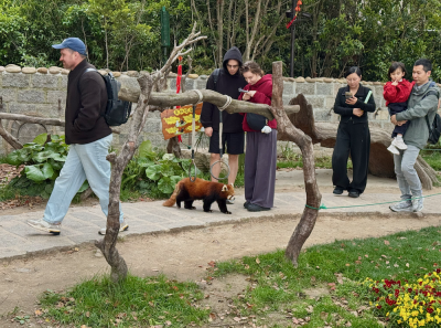 China April 2026 11
