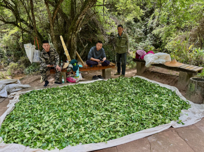 China April 2026 70