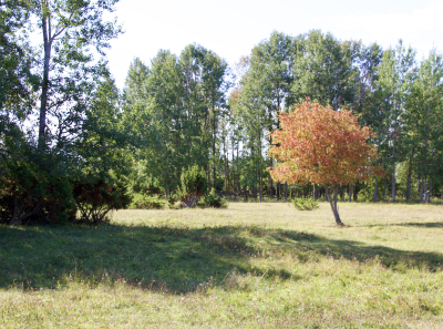 Osmussaar Inipi 26 08 11