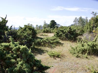 Osmussaar Inipi 26 08 12