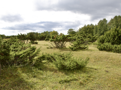 Osmussaar Inipi 26 08 24