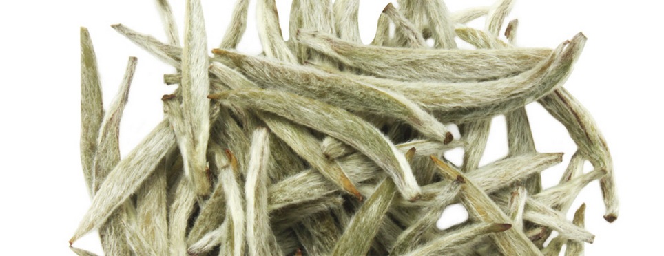 baihao yinzhen 05970398