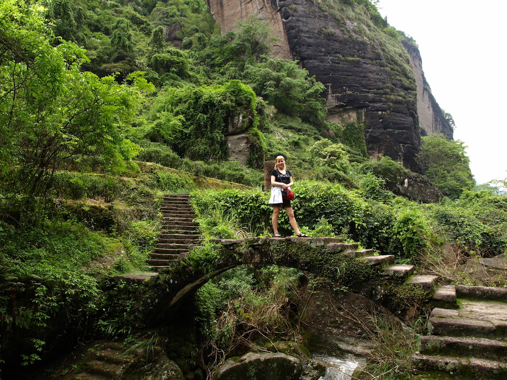 dahongpao bridge