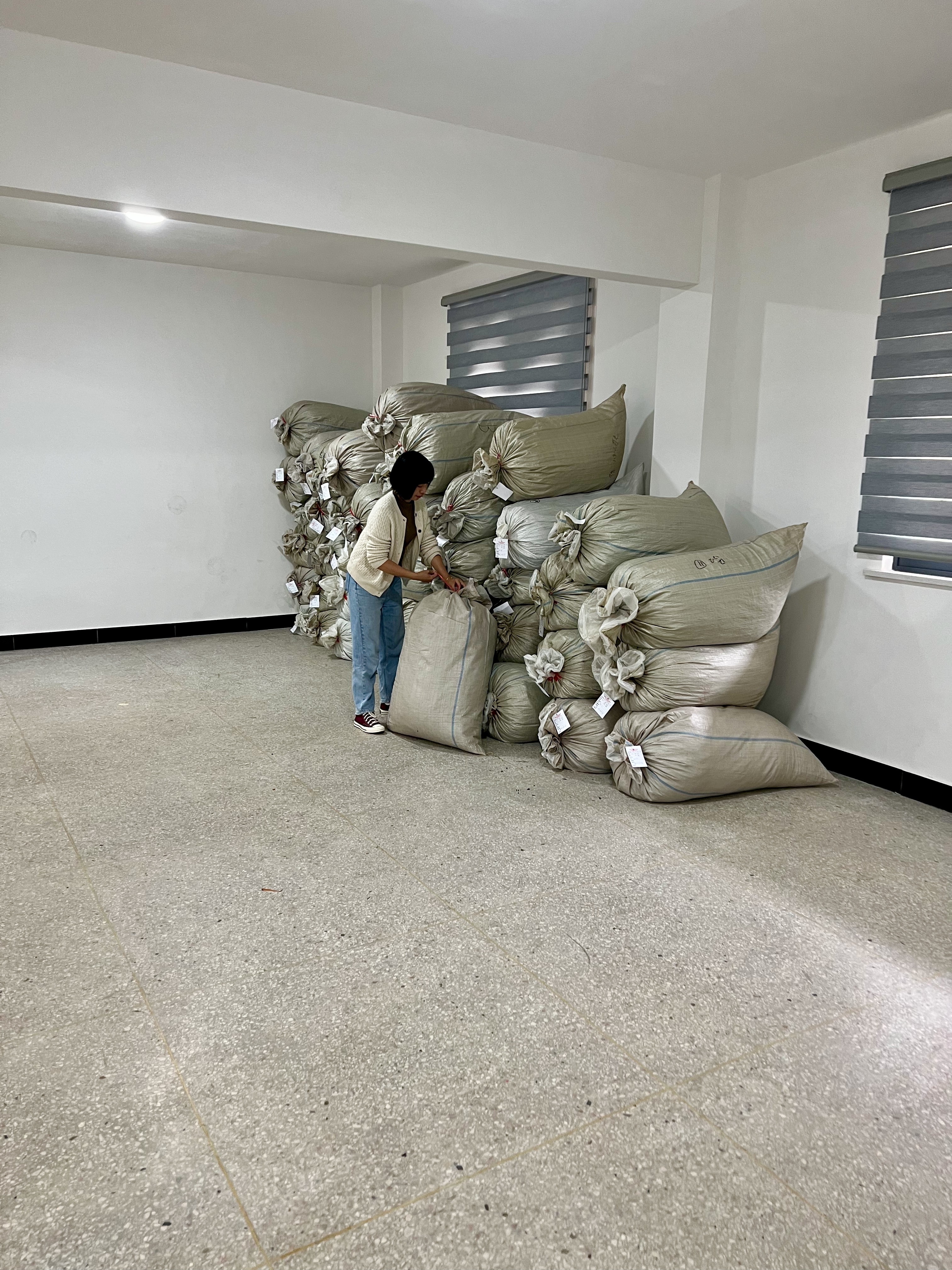 wuyishan tea 2023 2